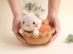 Pumpkin Pie Kitten Crochet Pattern – Pumkitty